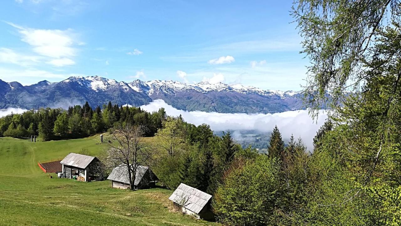 Apartments Pod Rodico Bohinjska Bistrica Kültér fotó