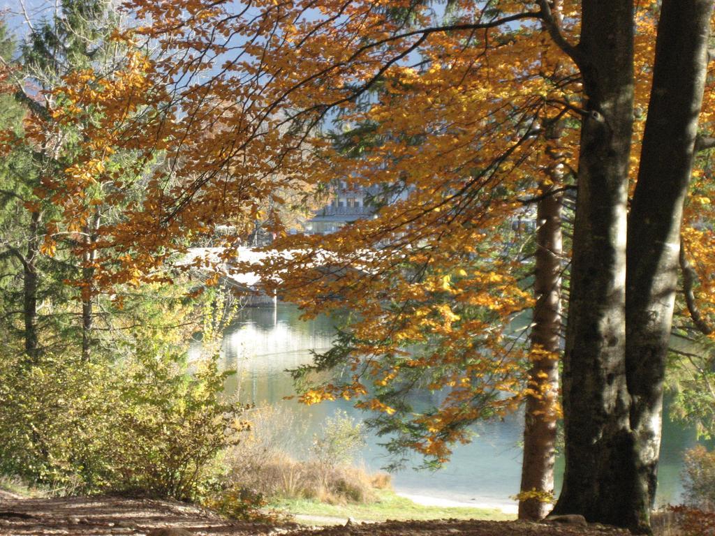 Apartments Pod Rodico Bohinjska Bistrica Szoba fotó