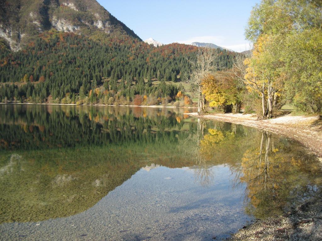 Apartments Pod Rodico Bohinjska Bistrica Kültér fotó