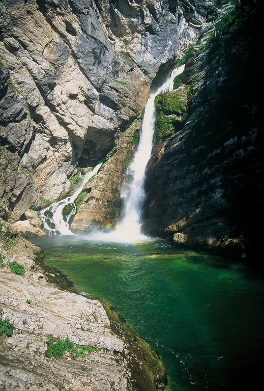 Apartments Pod Rodico Bohinjska Bistrica Kültér fotó