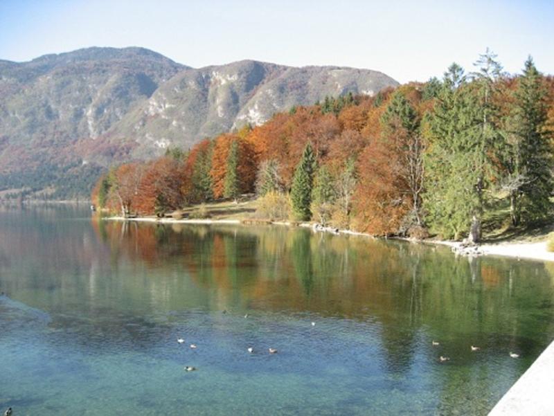 Apartments Pod Rodico Bohinjska Bistrica Kültér fotó