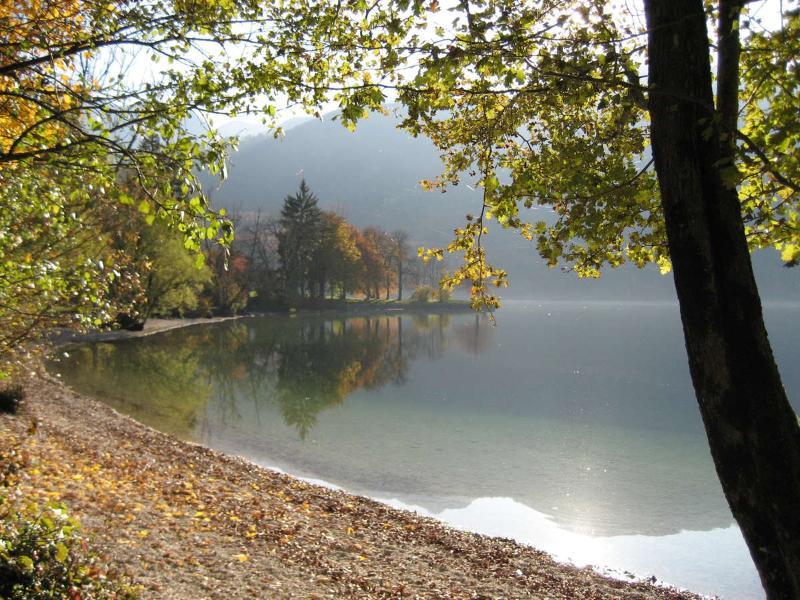 Apartments Pod Rodico Bohinjska Bistrica Kültér fotó